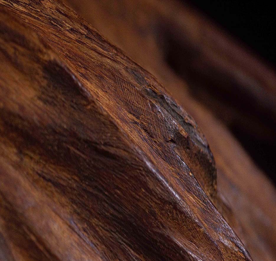Agarwood