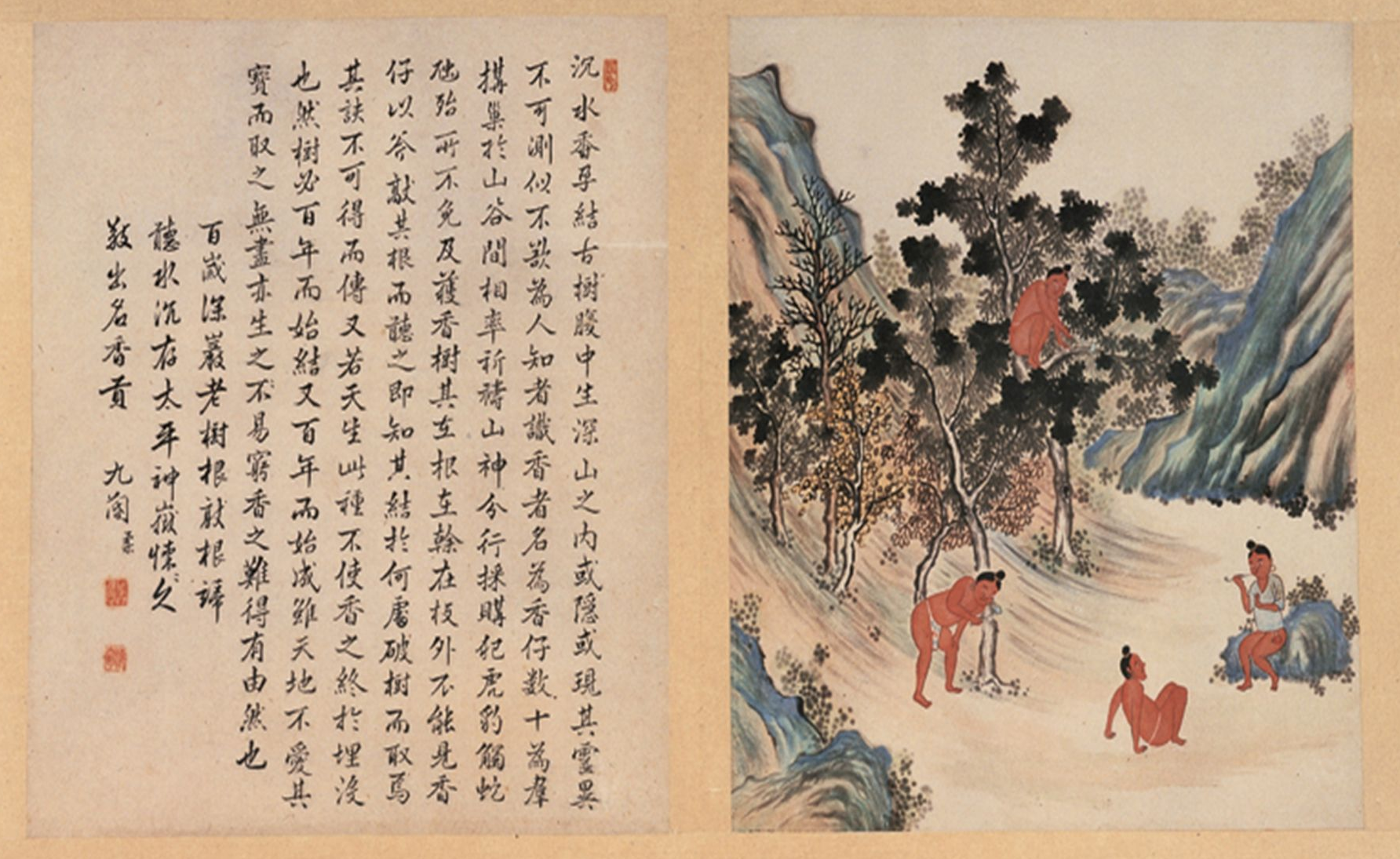 采香